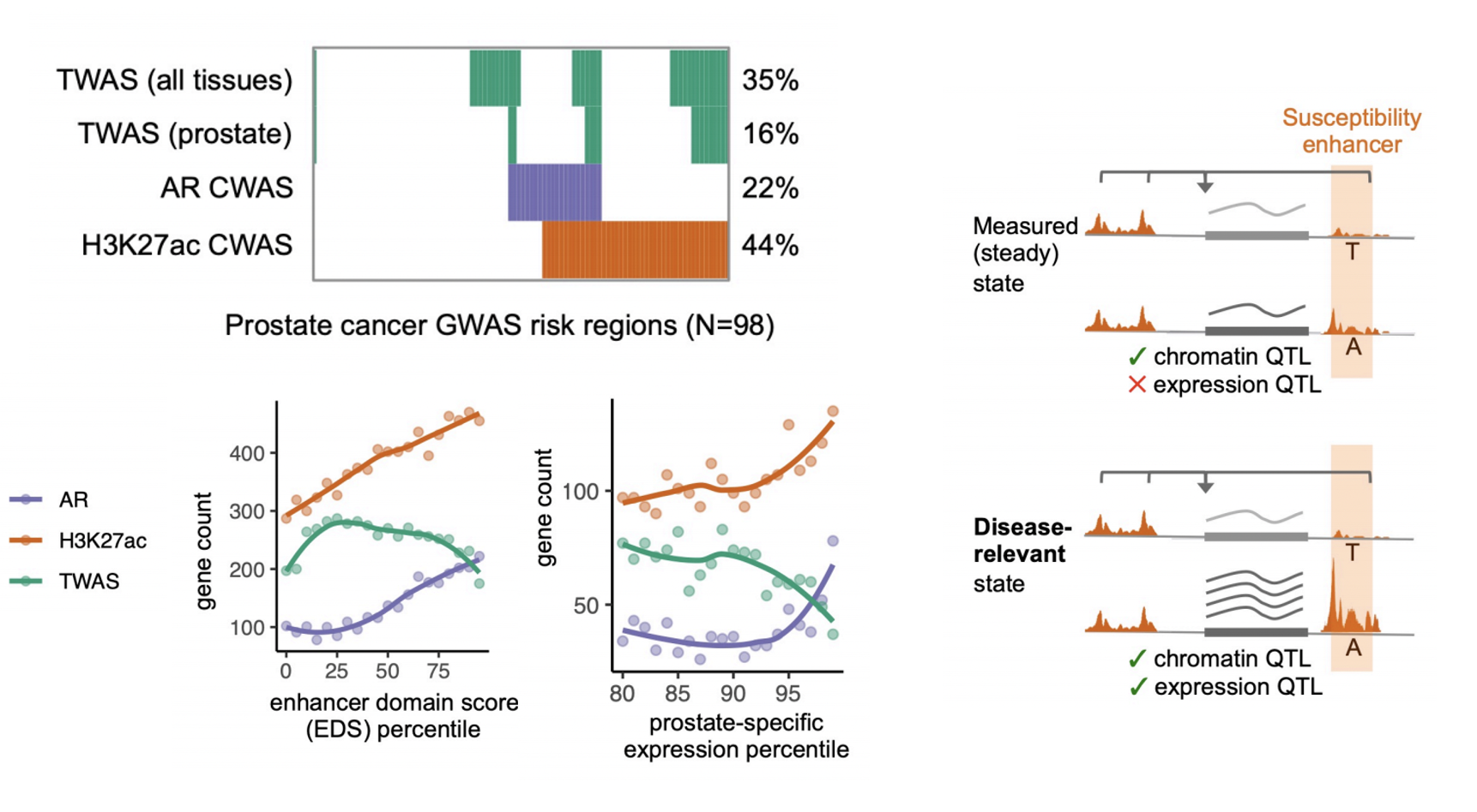 prostate cwas