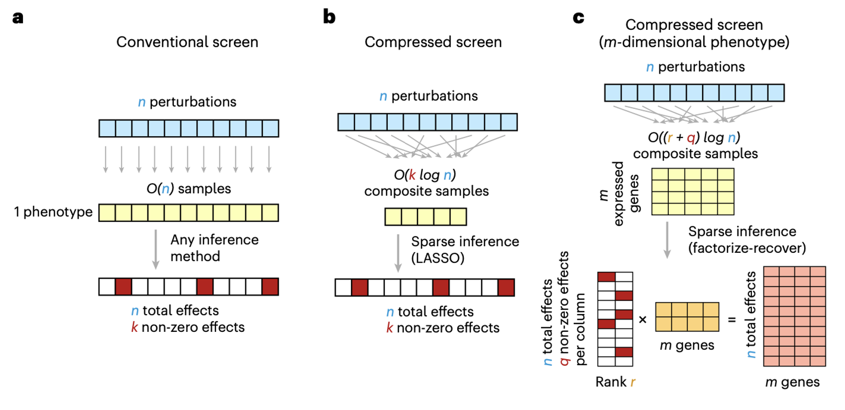 FR perturb-seq schematic